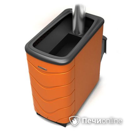 Дровяная банная печь TMF Тунгуска XXL 2013 Inox ДА терракота в Туле